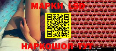 гидра Новокубанск